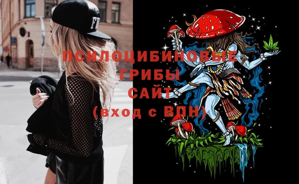 гашик Арсеньев