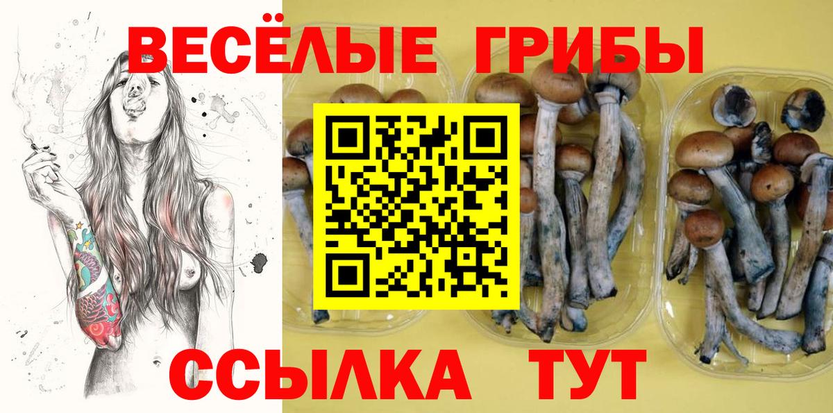 Галлюциногенные грибы Cubensis  Псилоцибиновые грибы мицелий  Вход с VPN  Темрюк 